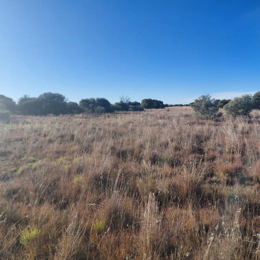 Commercial Property for Sale in Barkly West Rural Northern Cape
